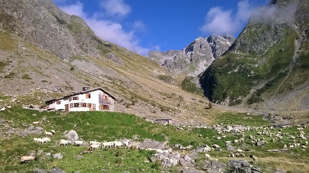 site