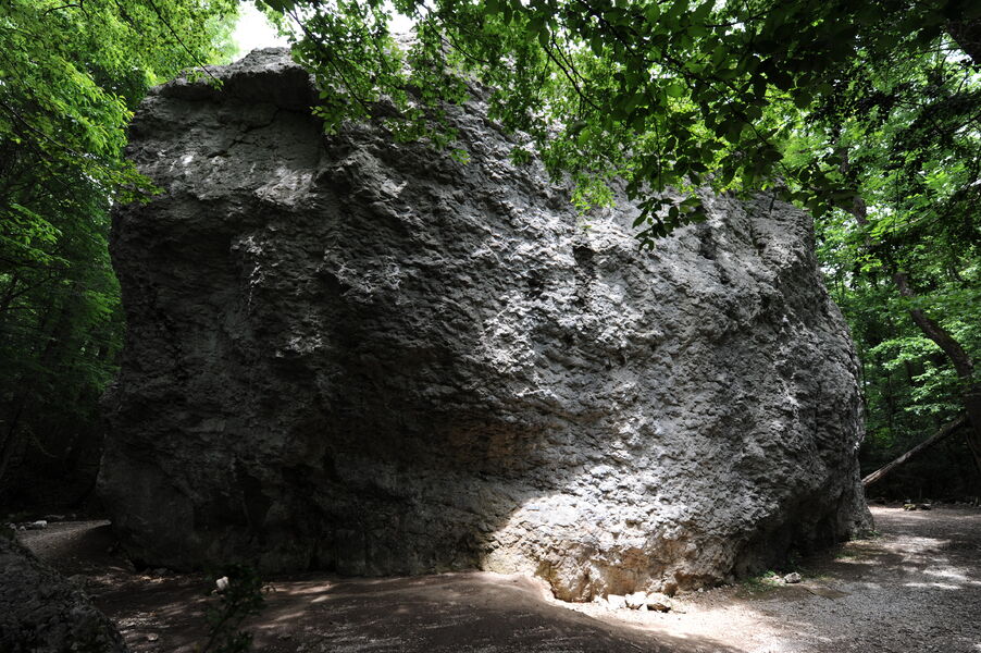 site