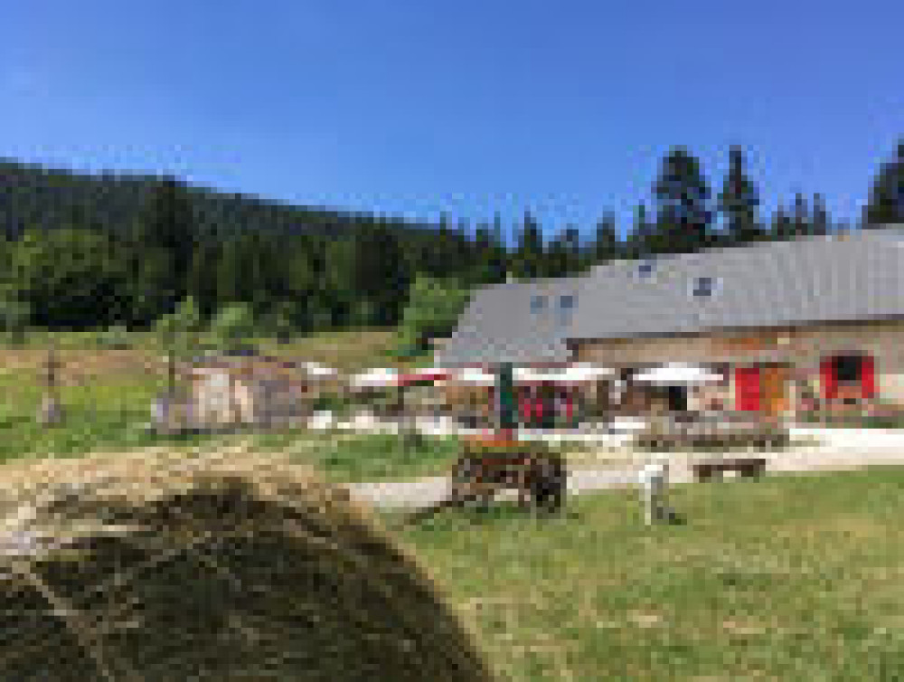 site