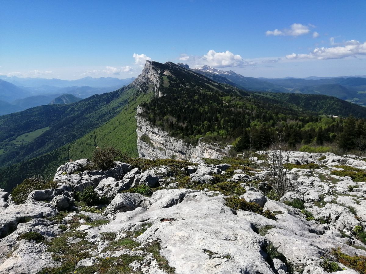 site