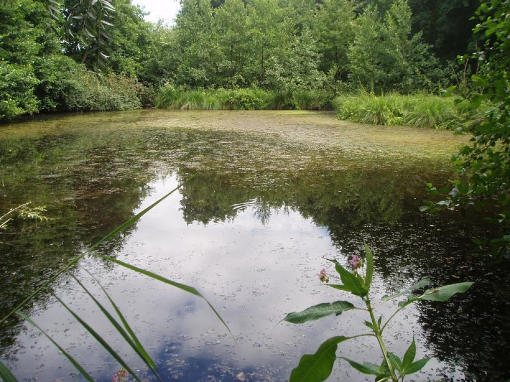 site