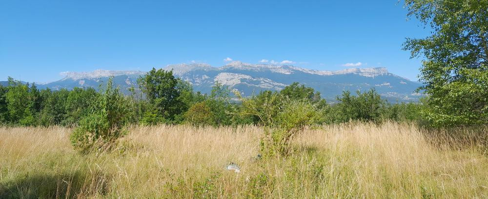 site